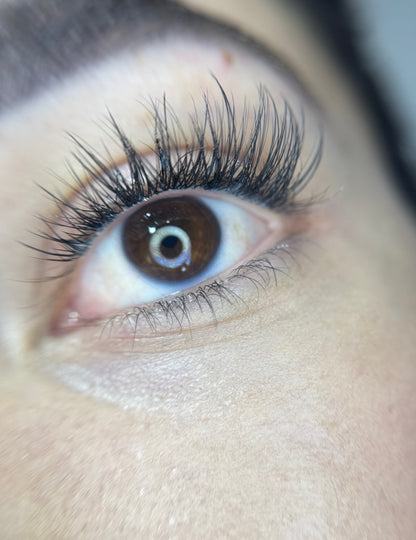 Classic Cluster Lash Kit